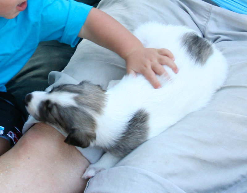 Surf Spots - Girl 2 Party